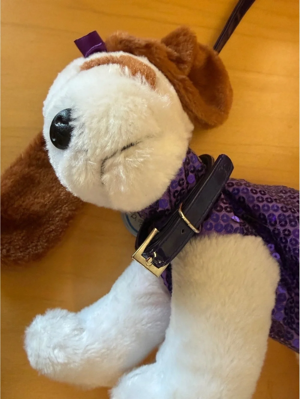 N/A child’s pooch